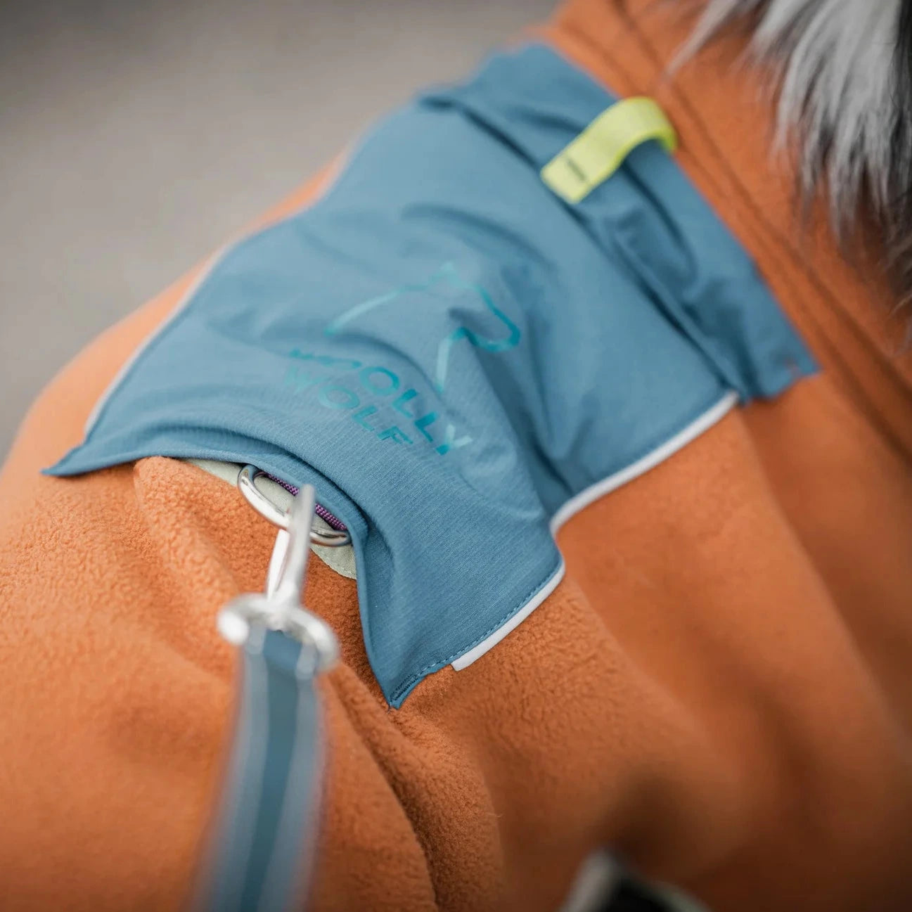 Pull polaire chien terracotta