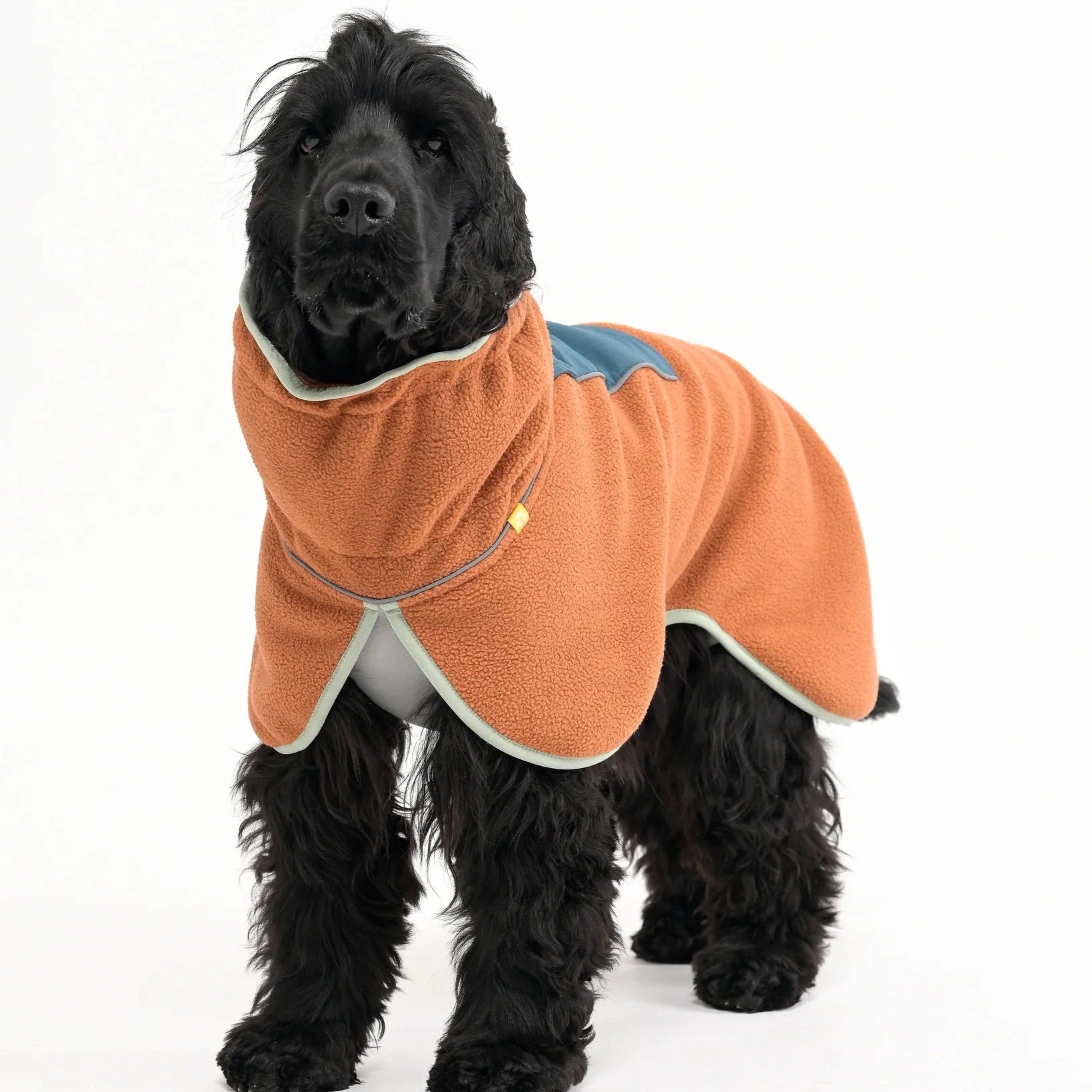 Pull polaire chien terracotta