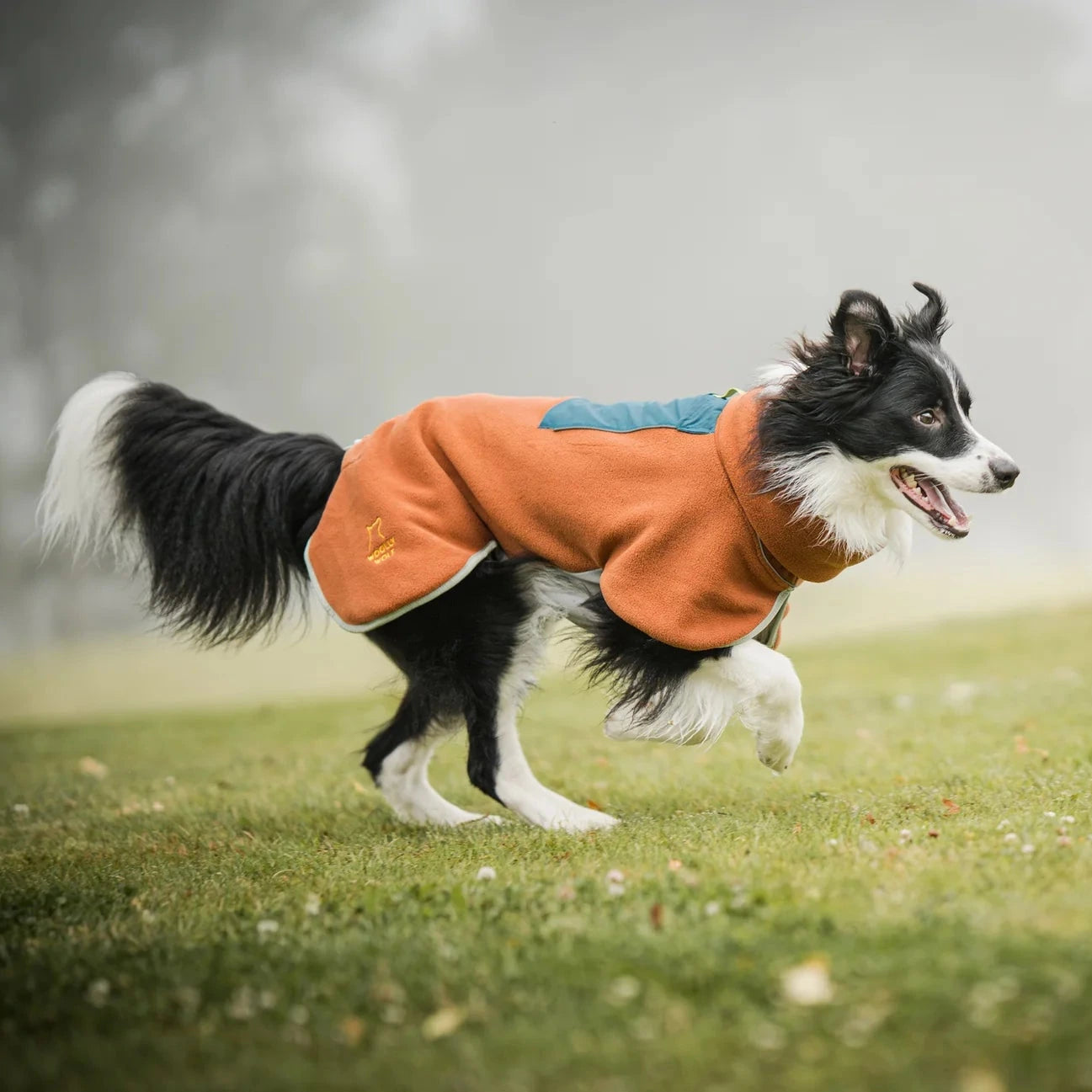 Pull polaire chien terracotta