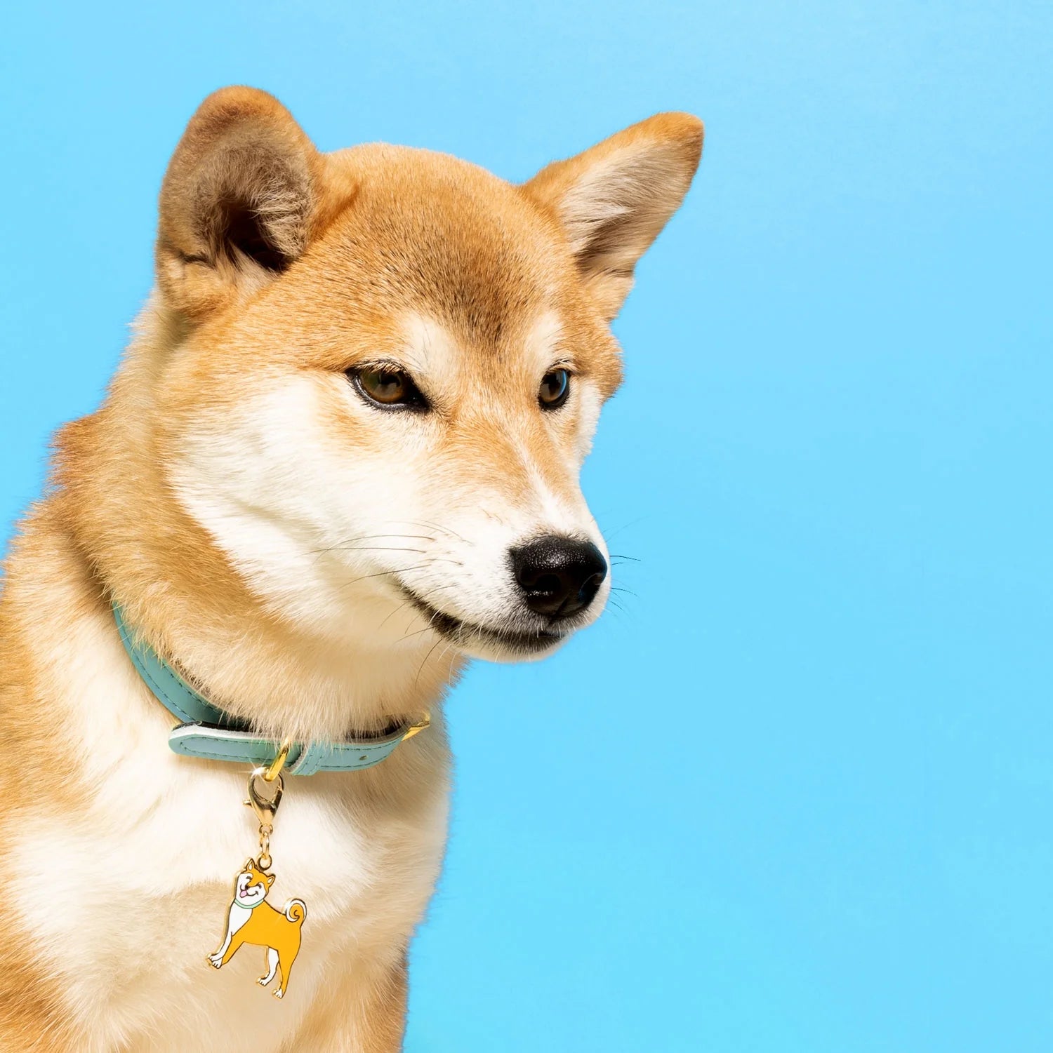 Porte-Clé Shiba Inu
