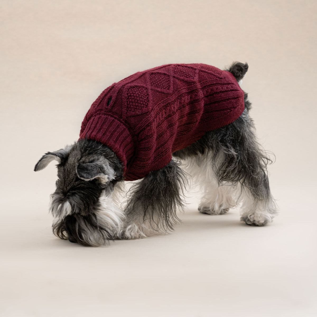 Pull pour chien en alpaga