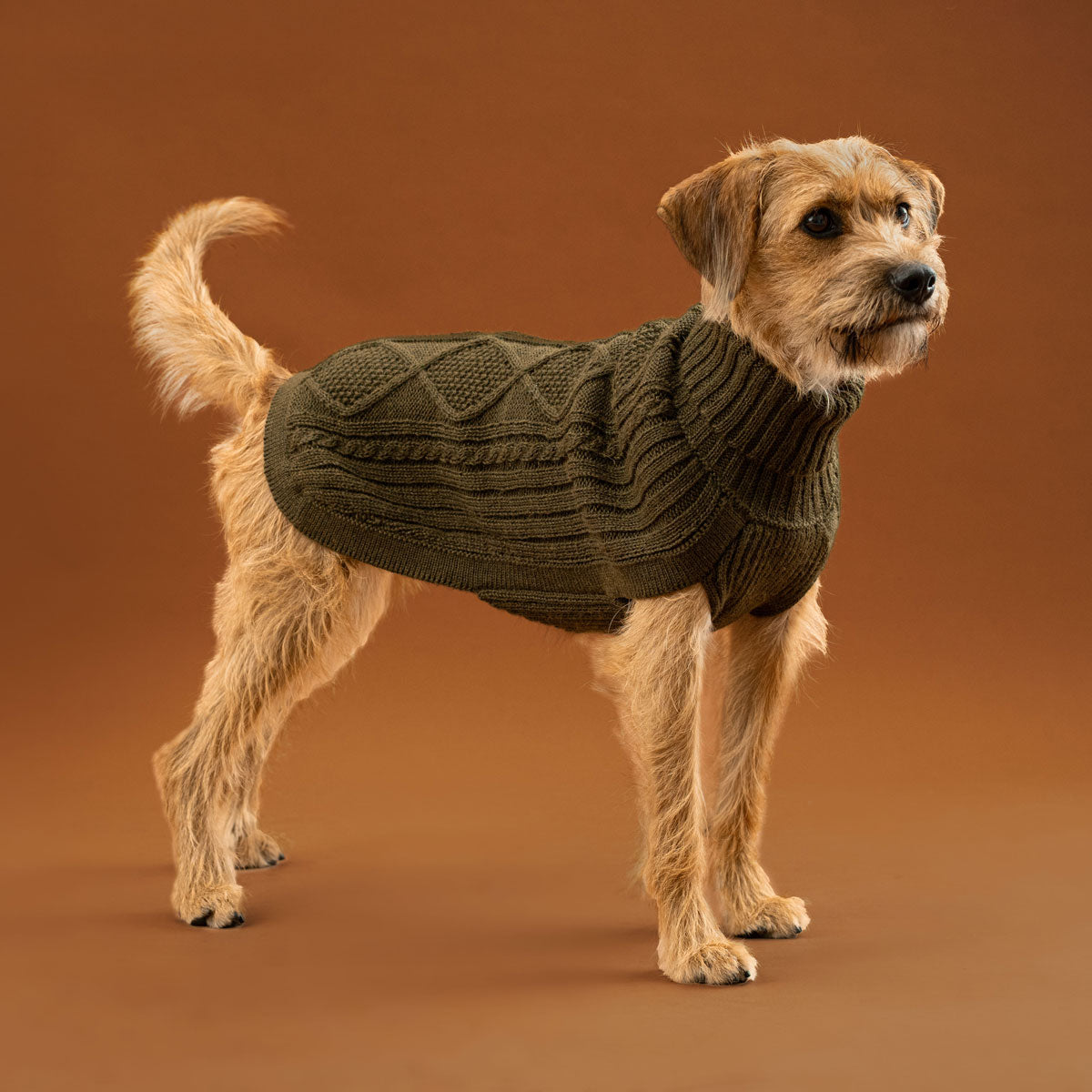 Pull pour chien Alpaga