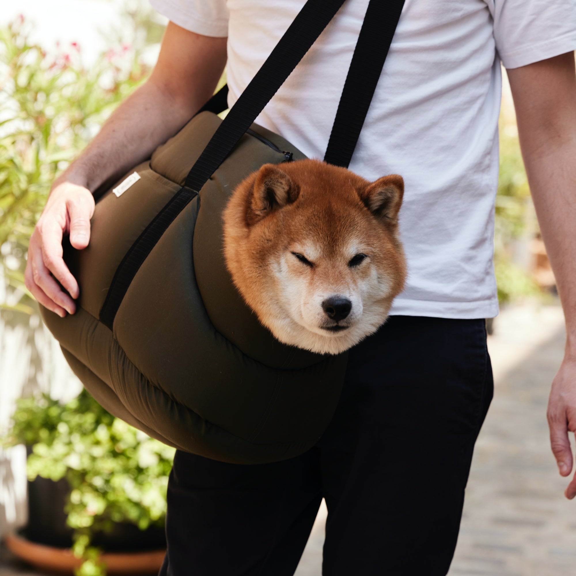 Sac de transport chien shiba inu