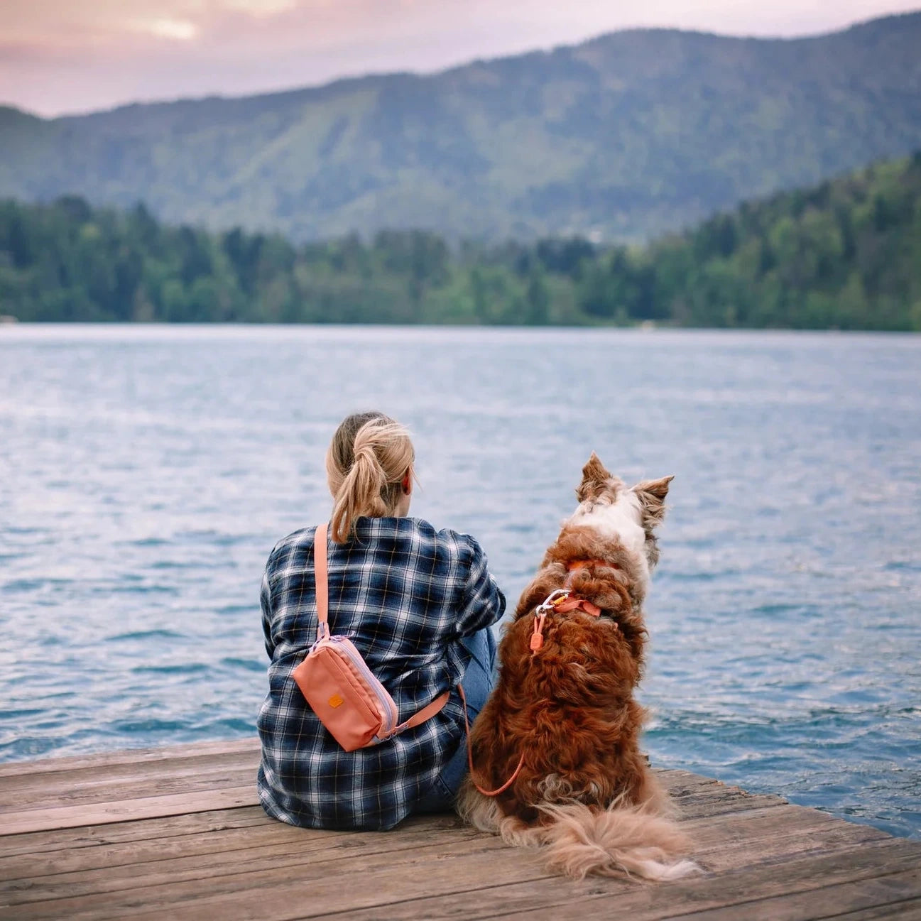 Sacoche de balade pour chien Alpha 360 Woolly Wolf