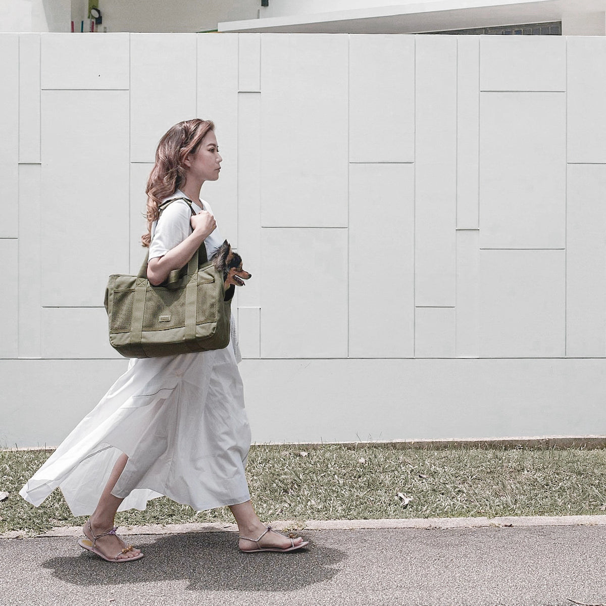 Sac de transport Subway pour petits chiens