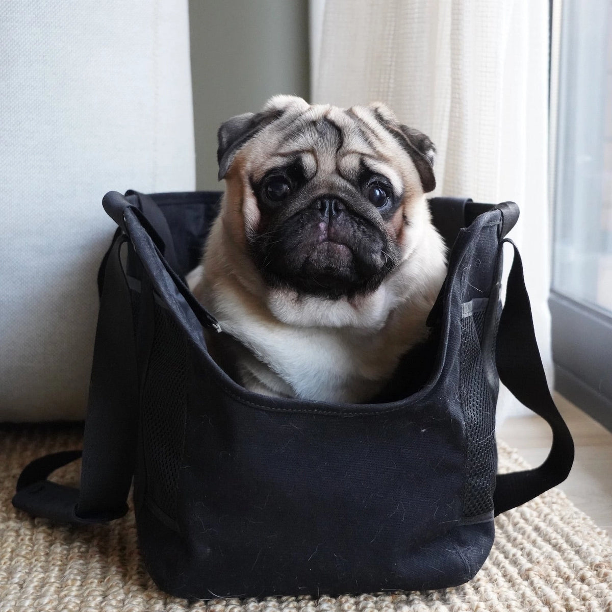 Sac de transport Subway pour petits chiens