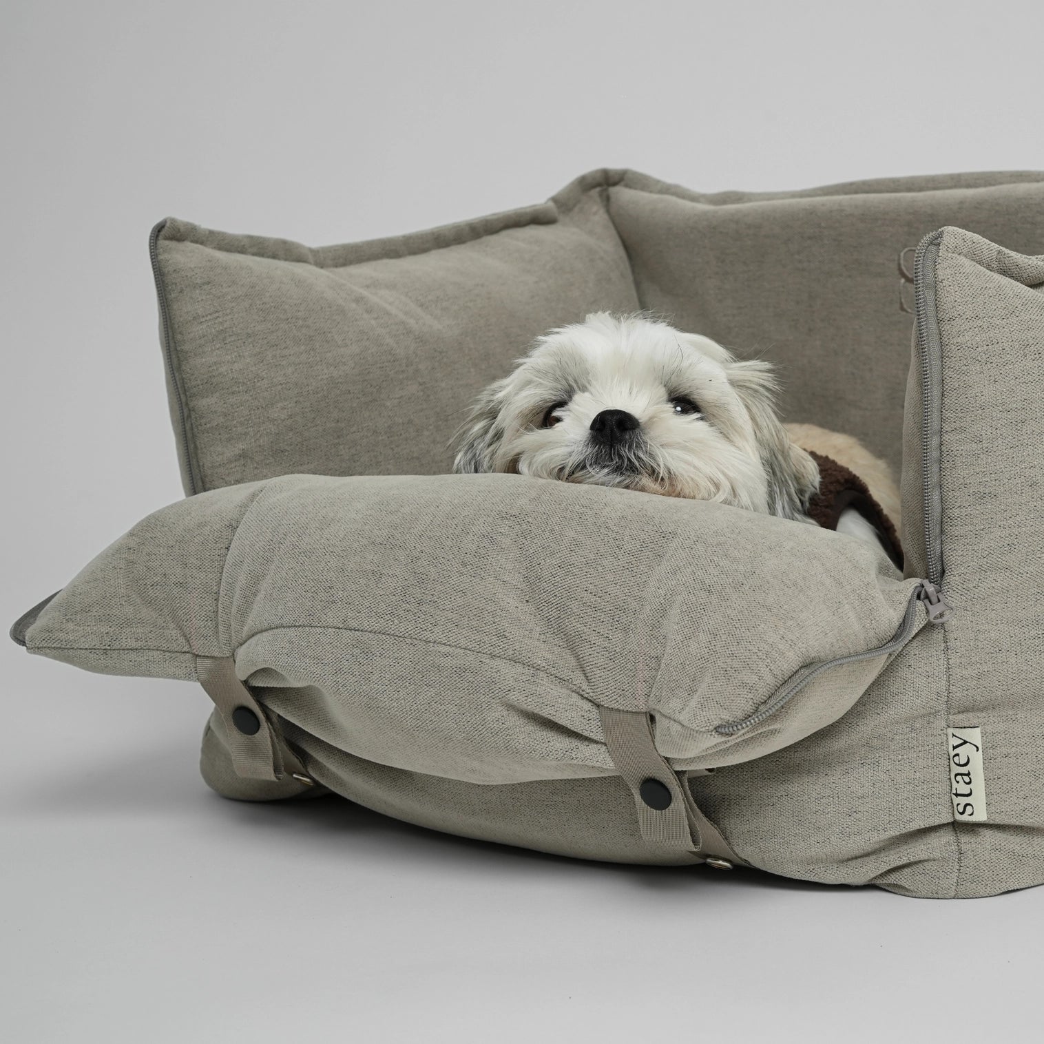 Siege auto 2-en-1 pour chiens