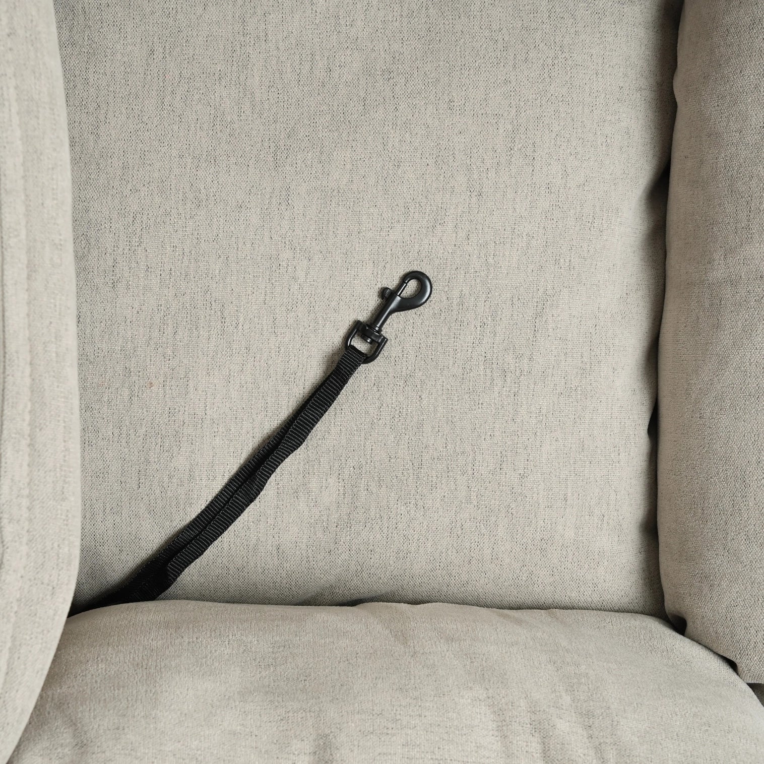 Siege auto 2-en-1 pour chiens