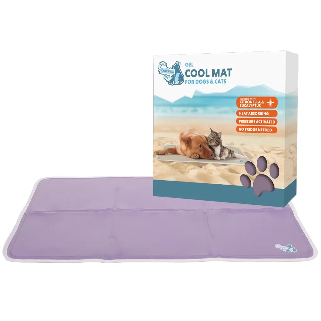 Matelas rafraichissant pour chiens