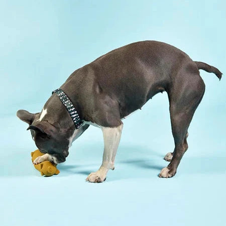 Jouet en latex Cochon Wursty