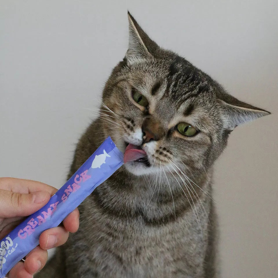 Creamy Snack Saumon Wow Cat