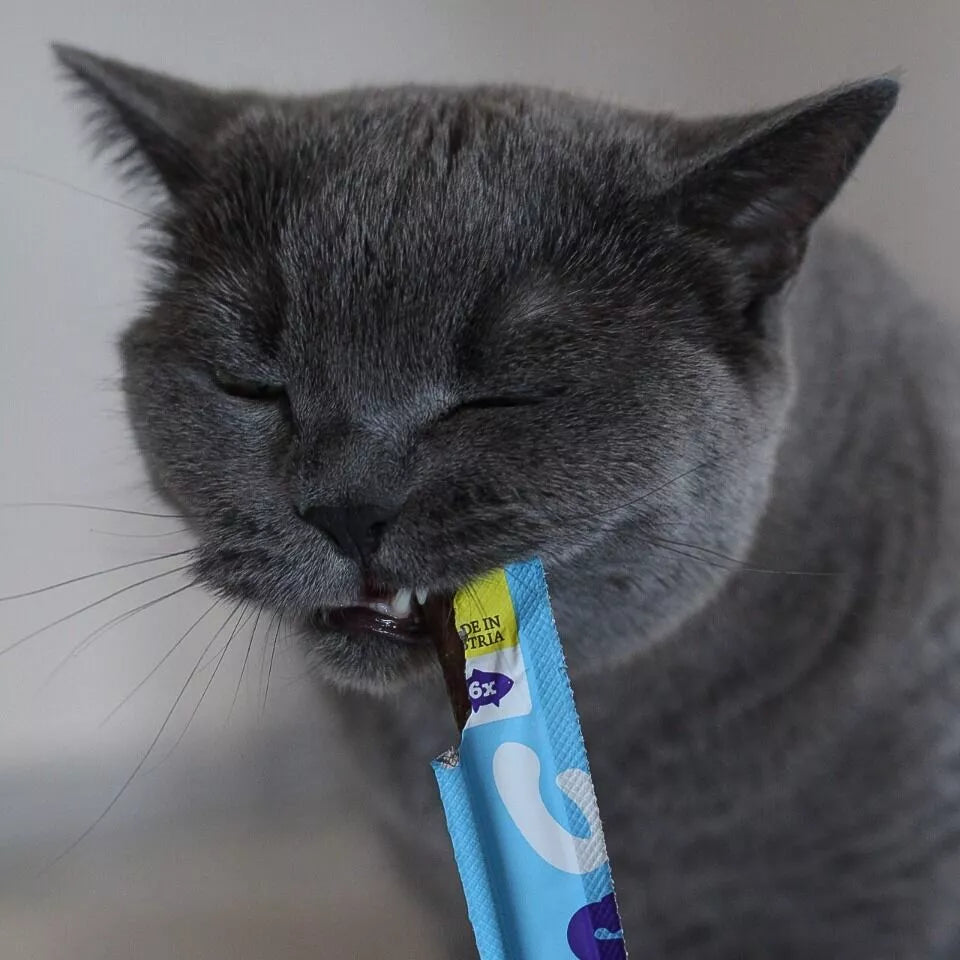Soft Sticks au Saumon pour chats