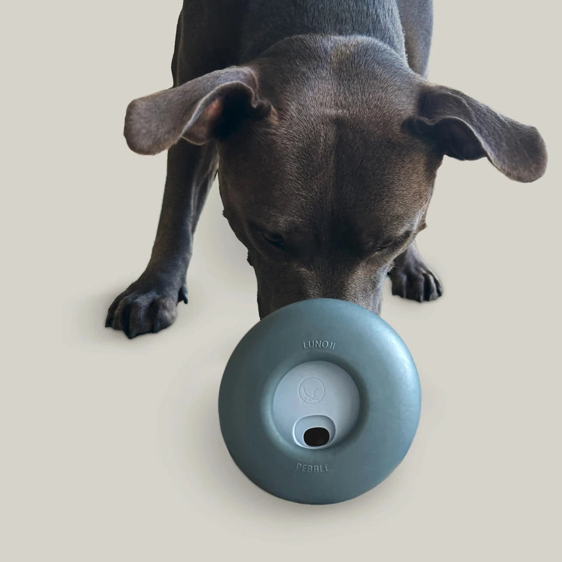 Pebble Jouet deux en un