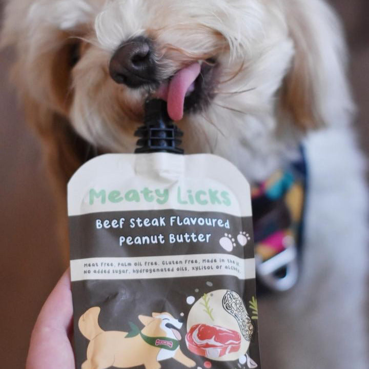 Beurre de cacahuète pour chien boeuf