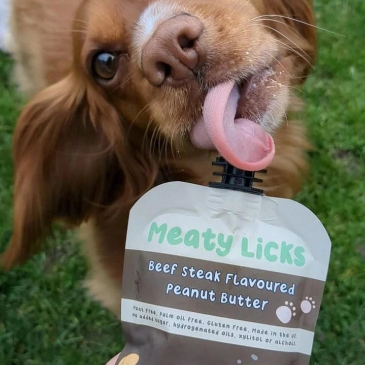 Beurre de cacahuète pour chien au boeuf