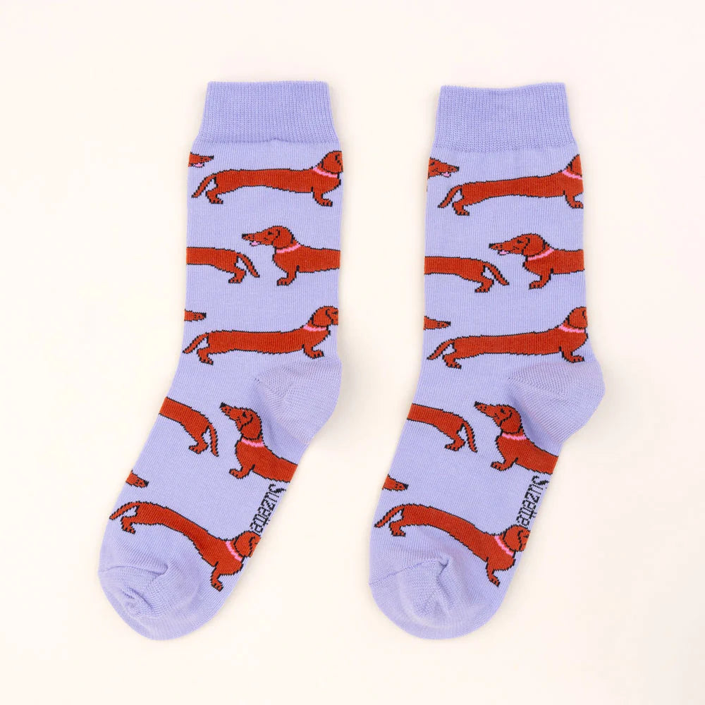Chaussettes Teckel