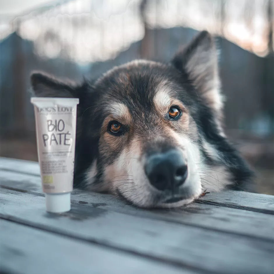 Tube de pâté au poulet bio