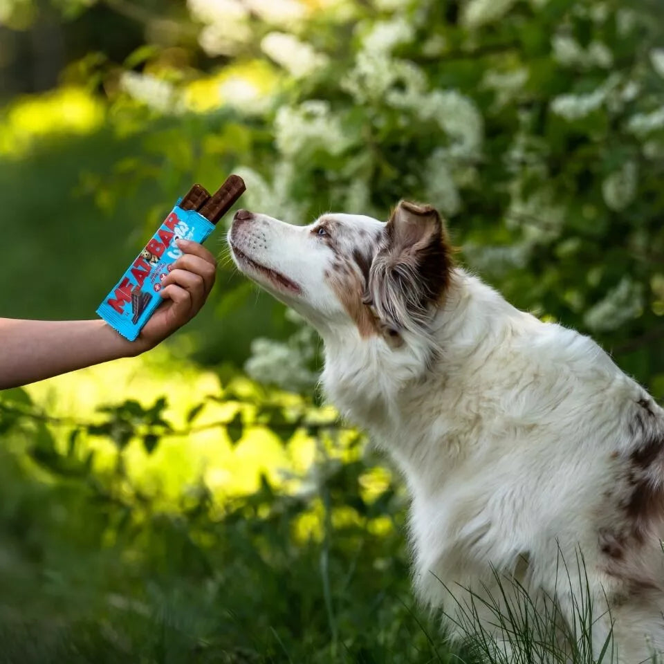 Barre protéinée Wow Dog Poulet