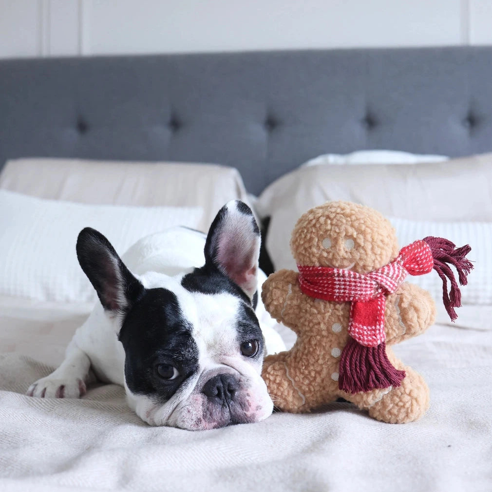 Peluche pour chien Bonhomme en pain d'épice