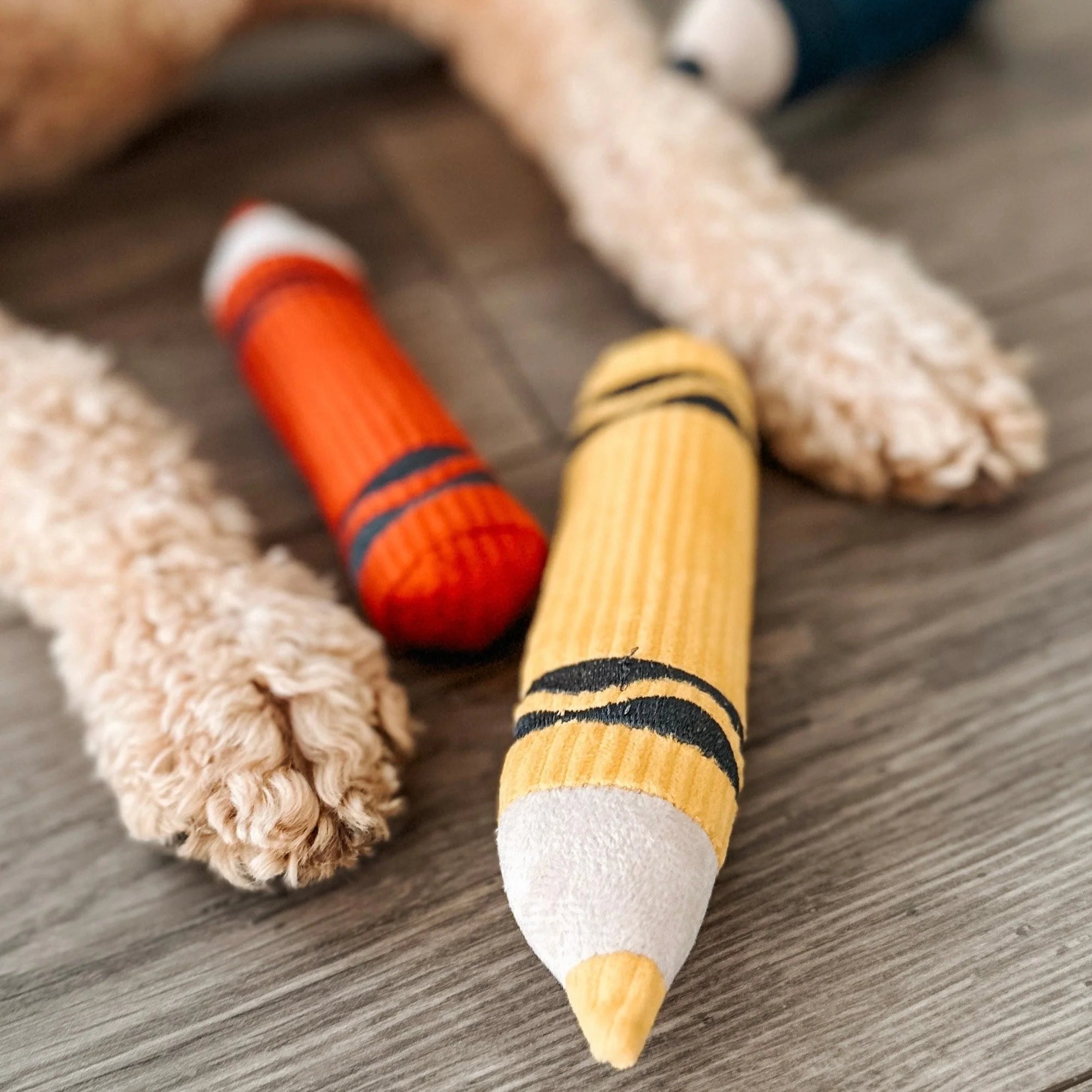 Jouet de fouille crayons colorés chien lambwolf