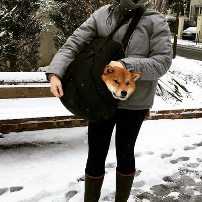 Le sac qui a tout changé