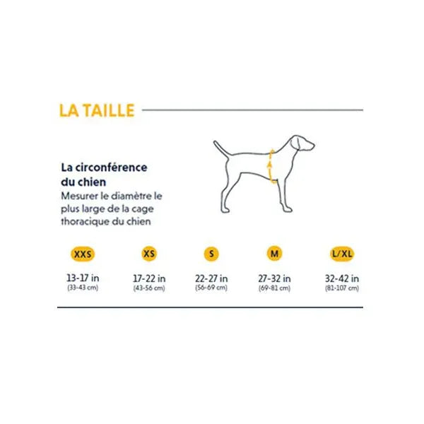 Harnais Front Range - Blue Pool