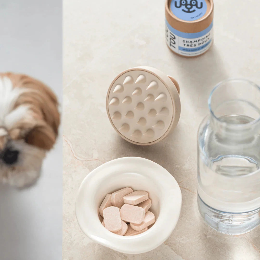 Brosse douche chien