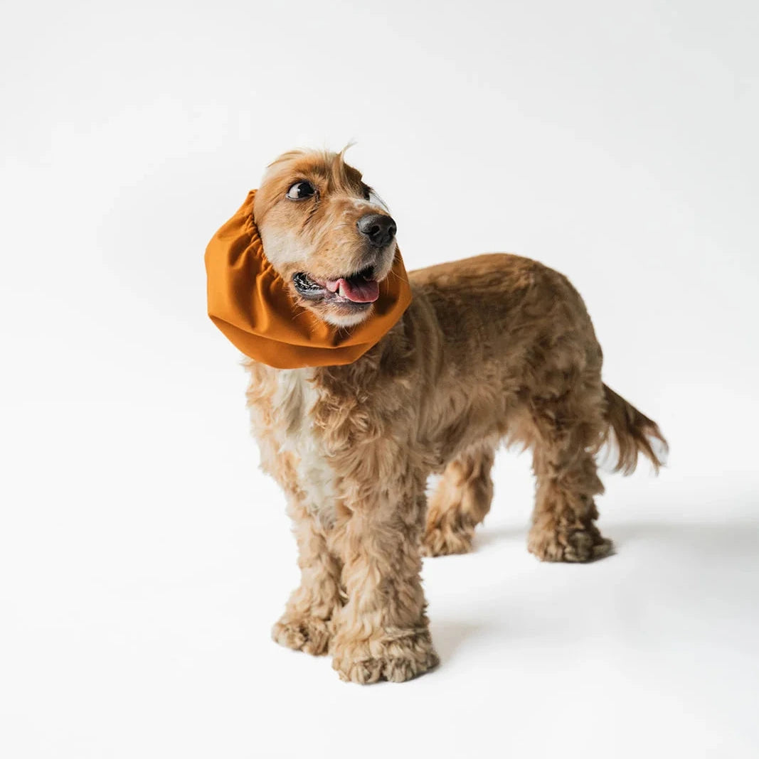 Snood imperméable Terracotta
