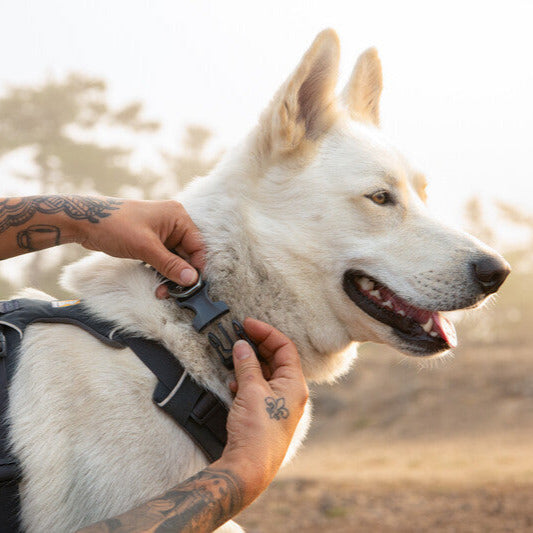 Collier Front Range - Basalt Gray