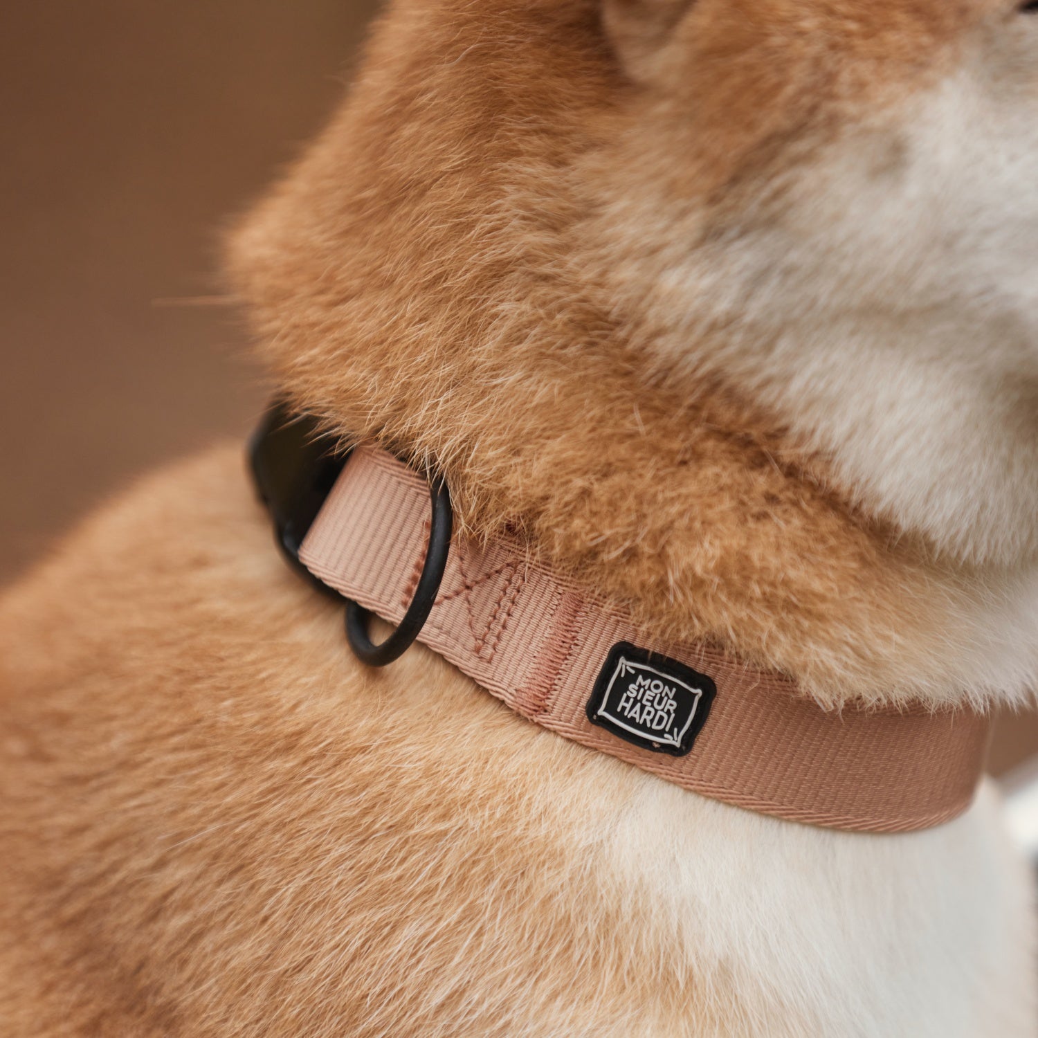 Collier pour chien Monsieur Hardi