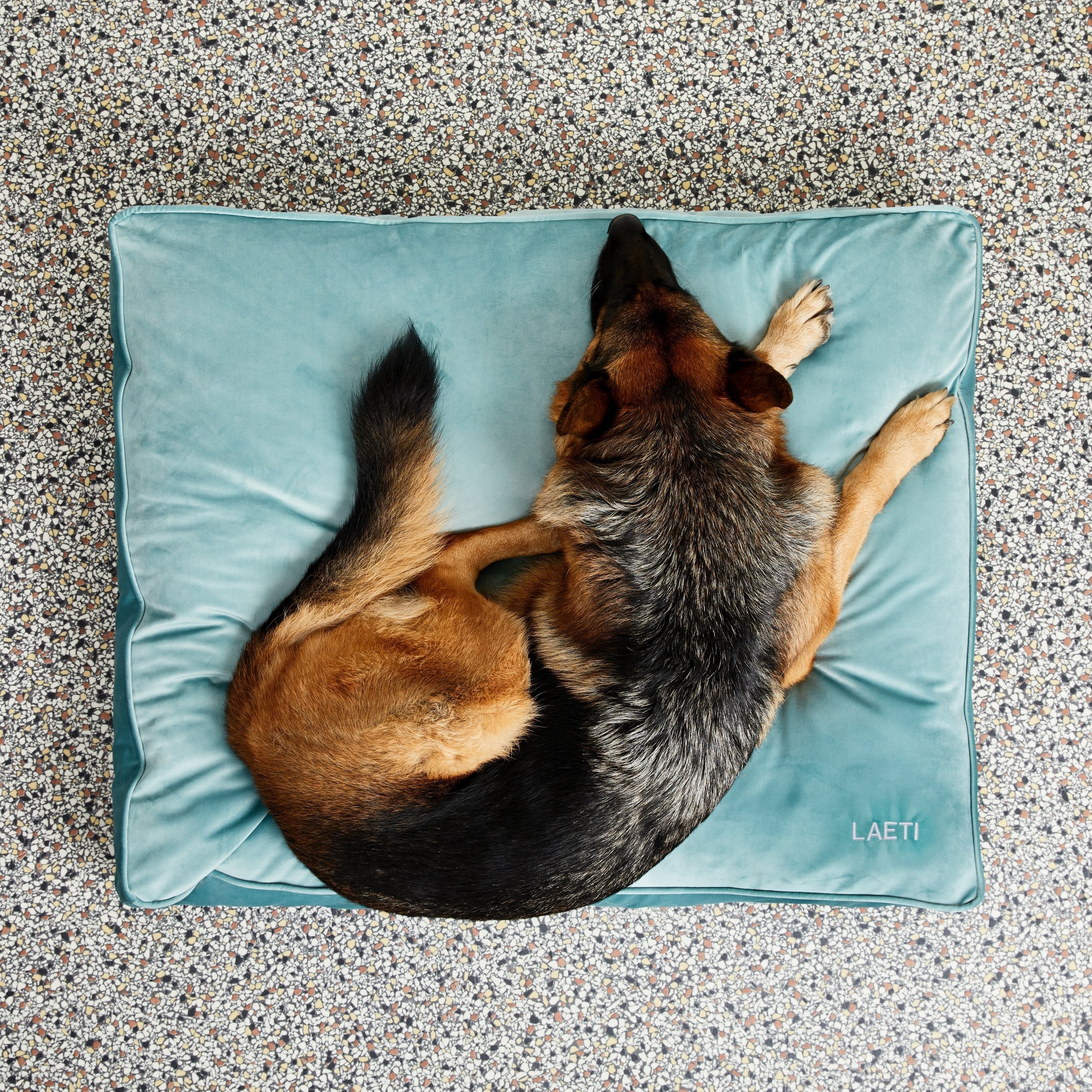 Coussin pour chien berger allemand