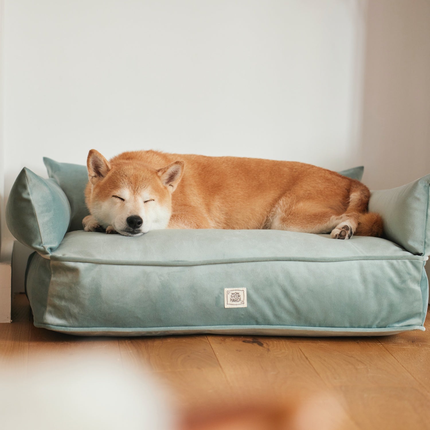 Panier pour chien shiba inu