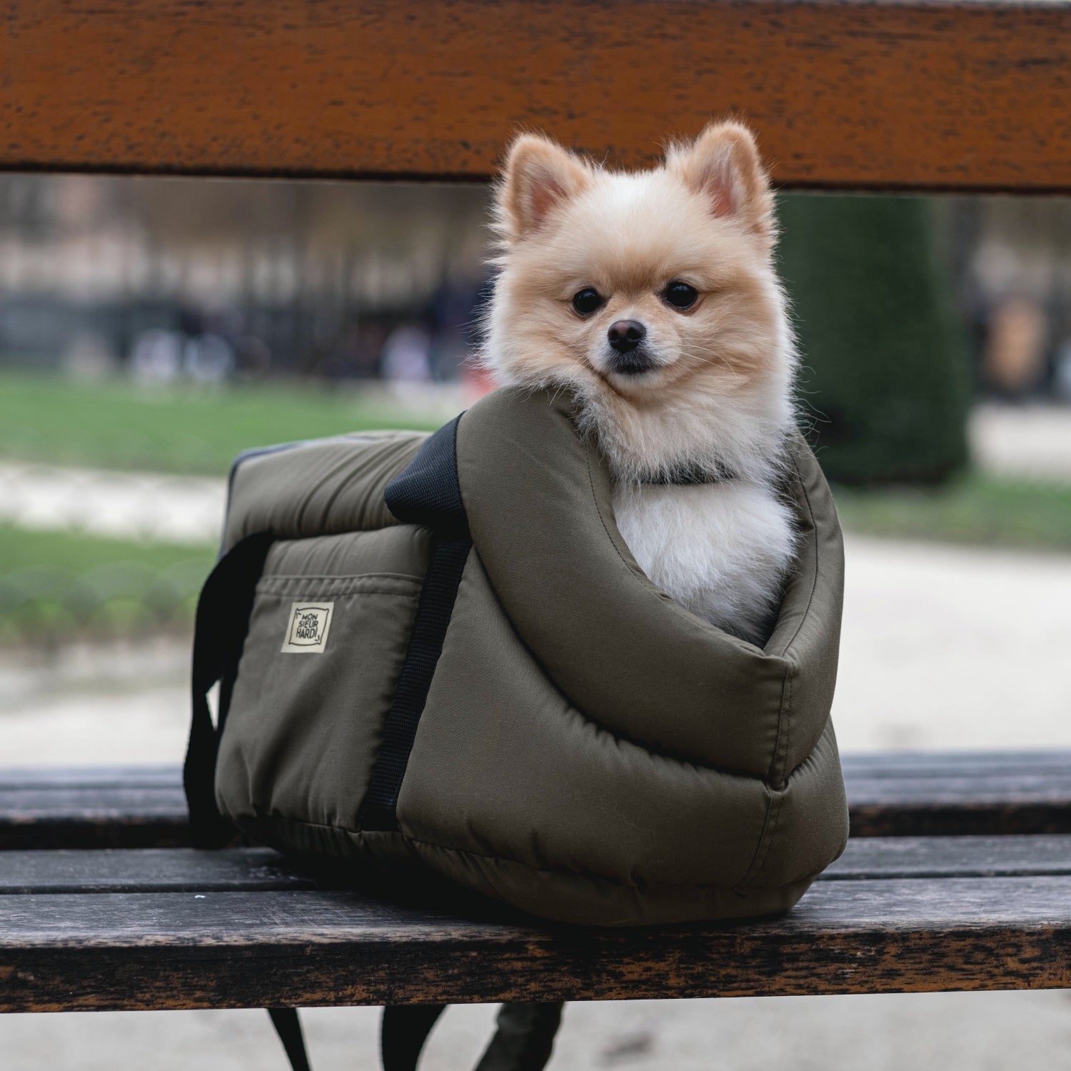 Sac de transport pour petit chien spitz