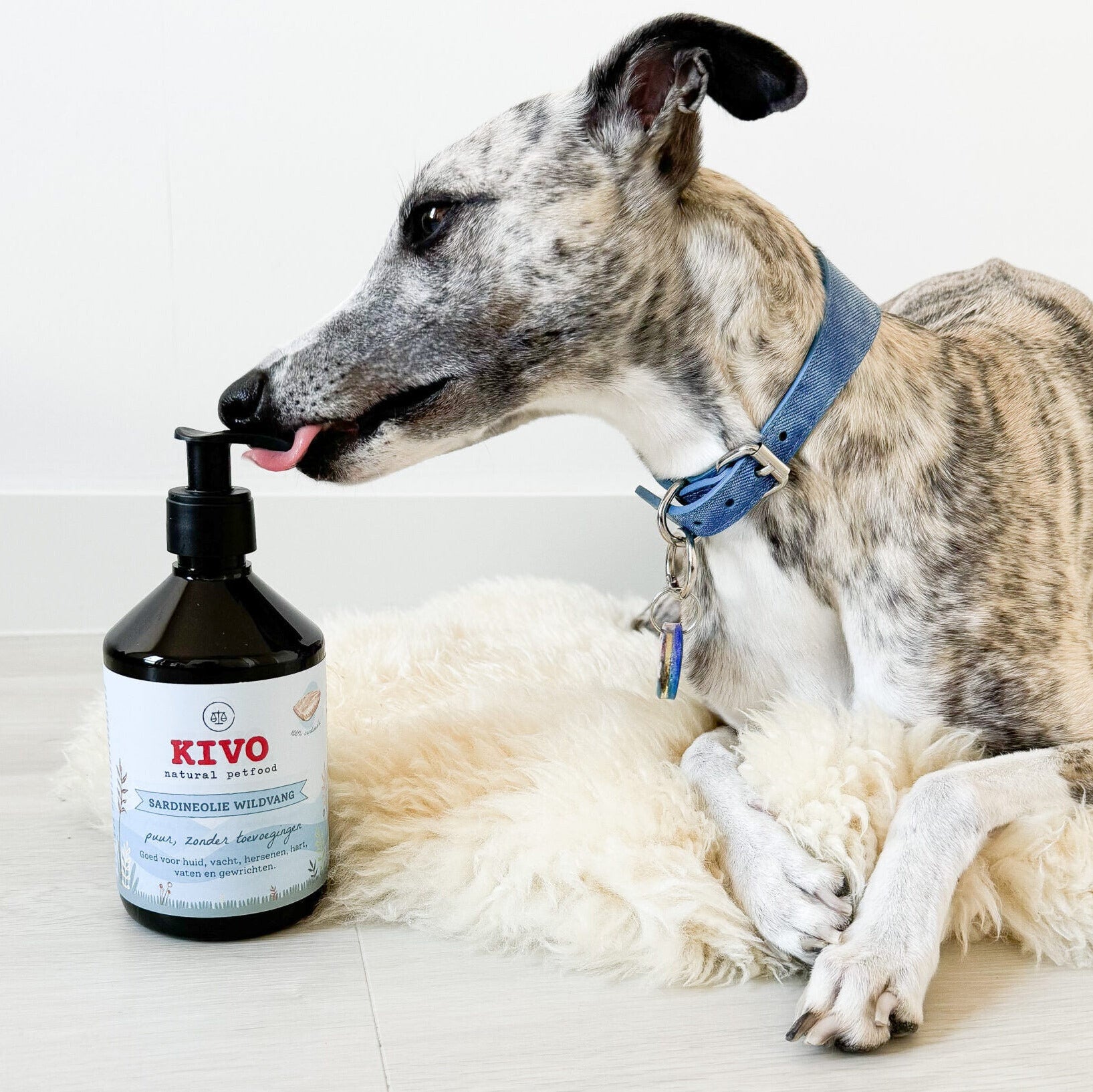 Huile de sardine sauvages pour chiens