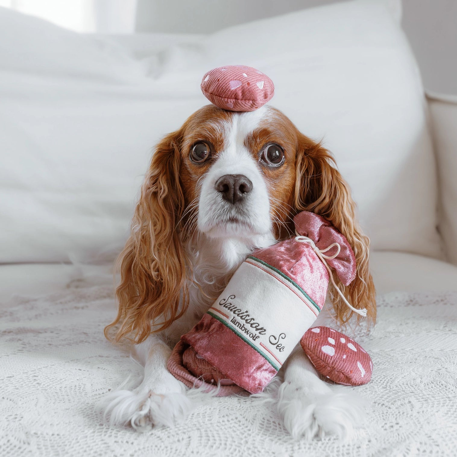 Saucisson de fouille