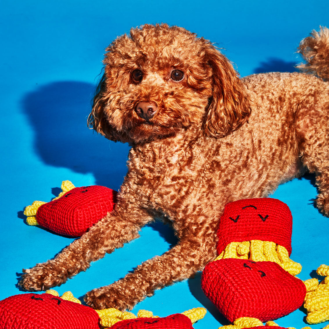 Peluche pour chiens frites