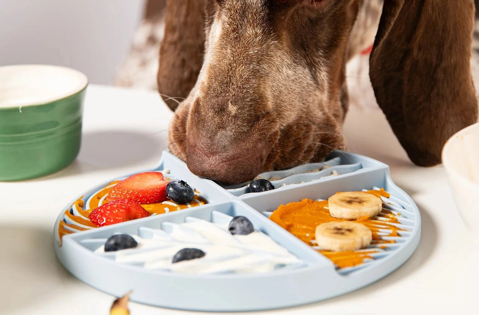 Lickmat pour chiens