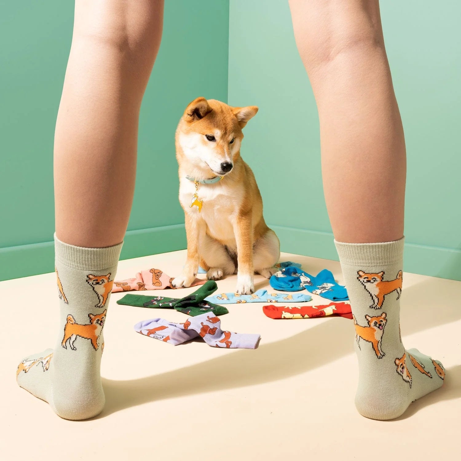 Chaussette Shiba Inu coucou suzette