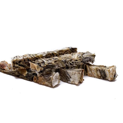 Batonnets poisson chien soin dentaire