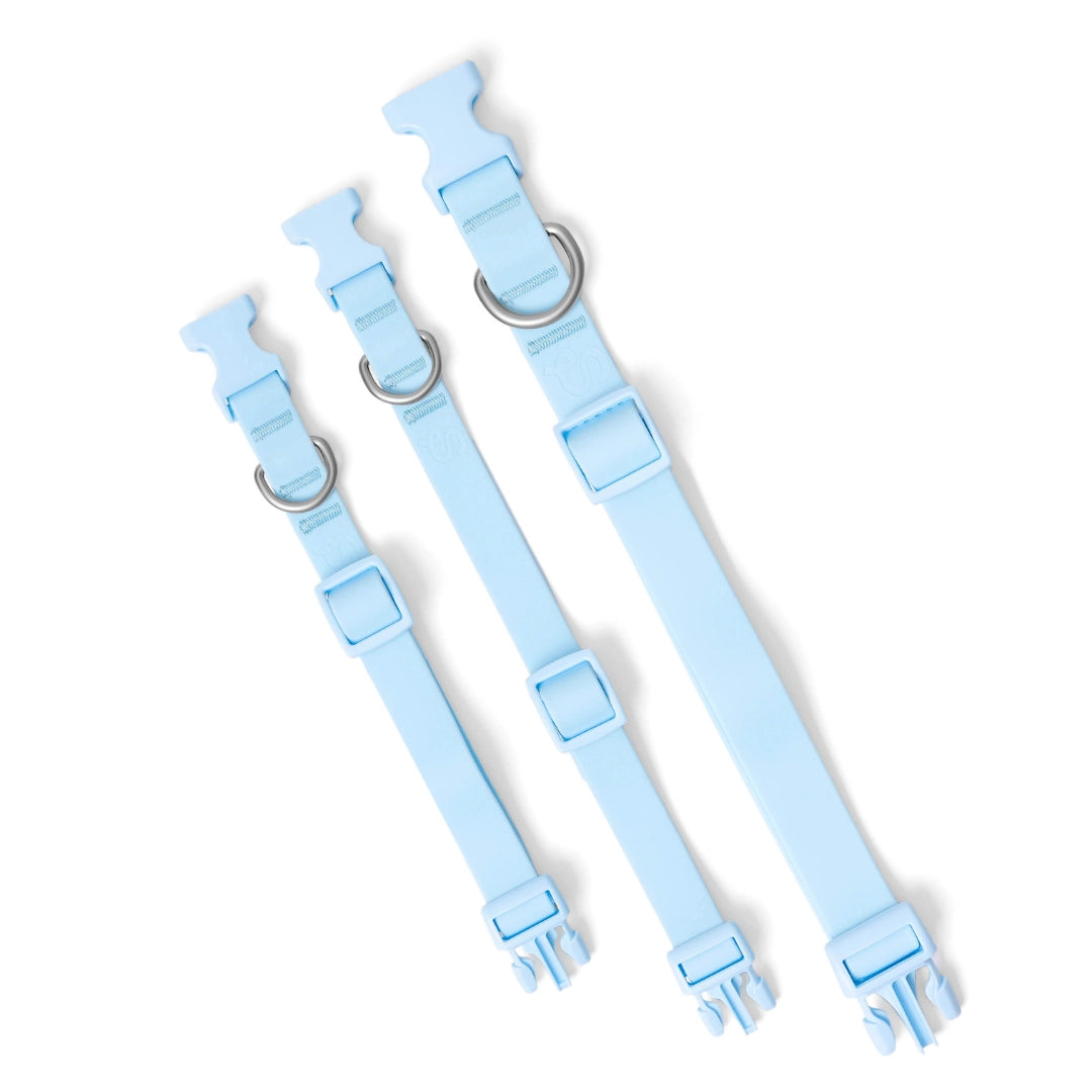 Collier pour chien imperméable en Biothane