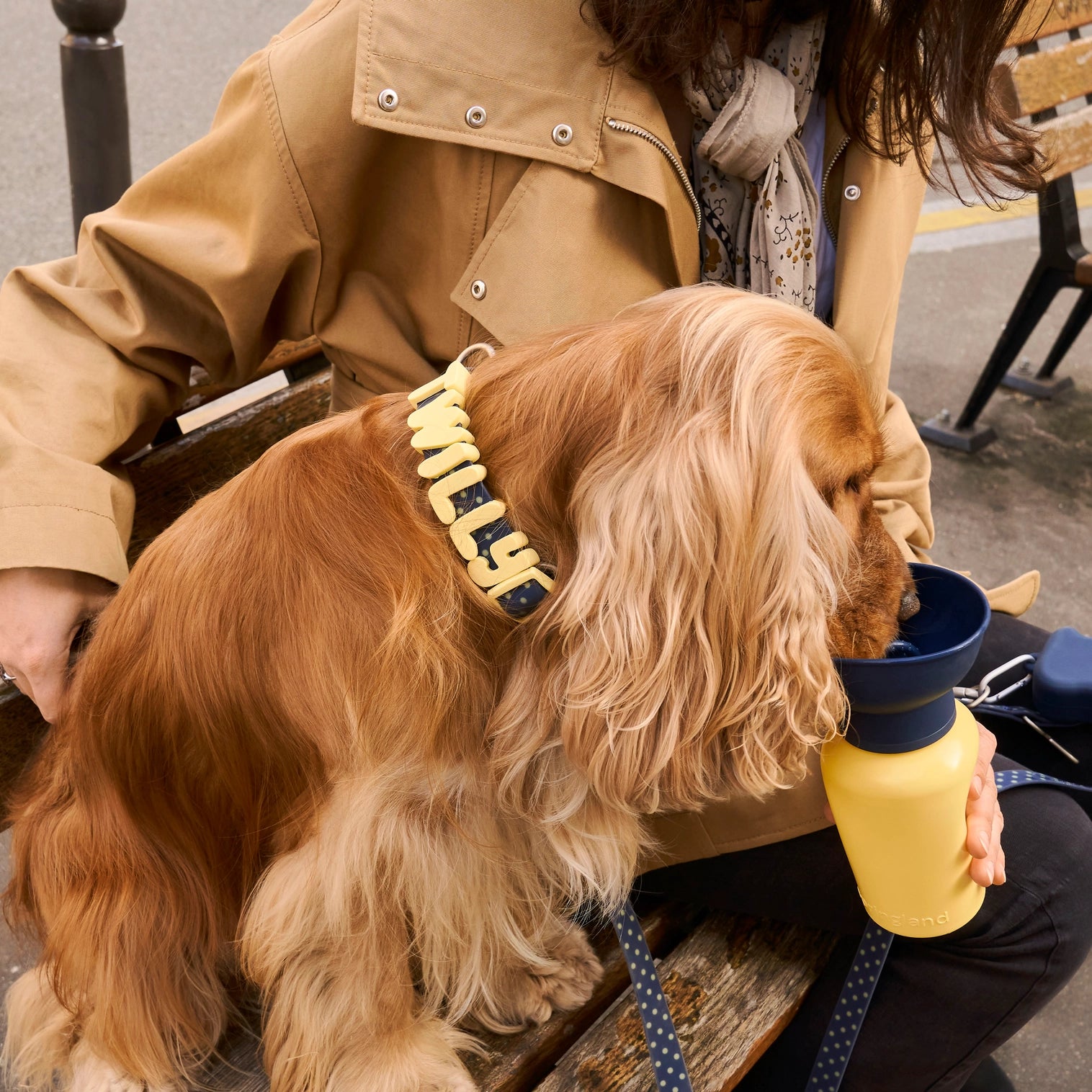 Collier Waterproof Marine à poids Springland Pets