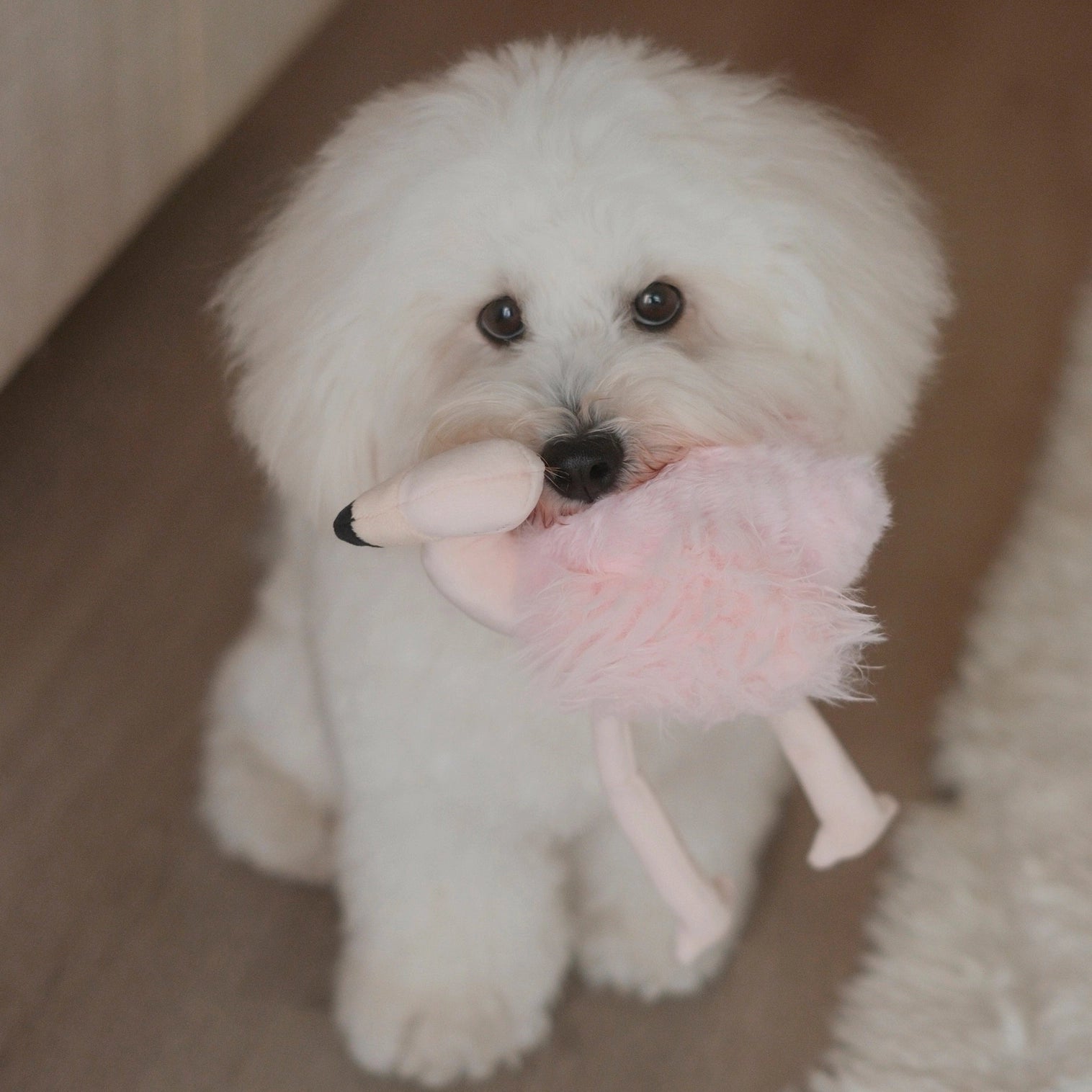 Peluche Flamant Rose