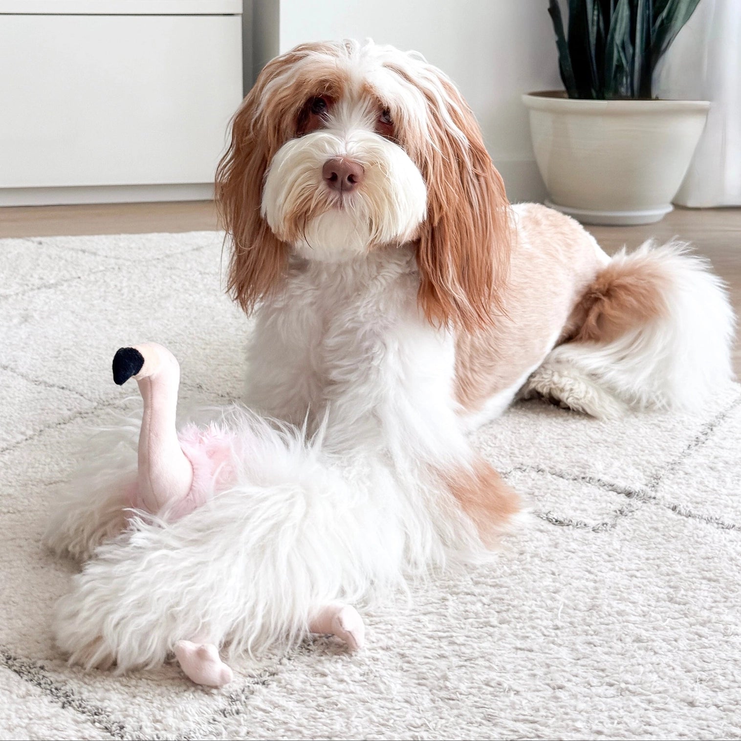 Peluche Flamant Rose