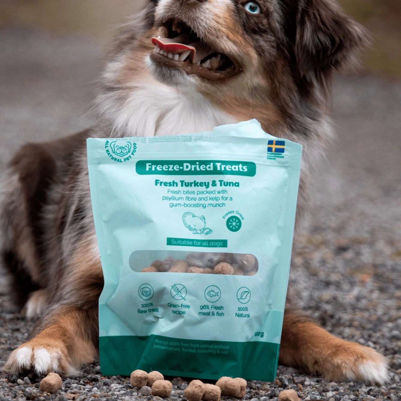 Friandises dinde et thon pour chiens et chiots