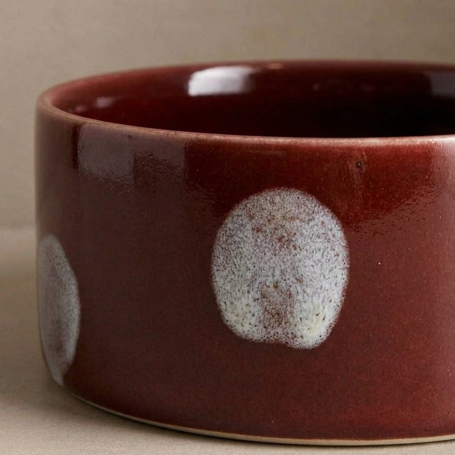 Gamelle en céramique pour chien à pois