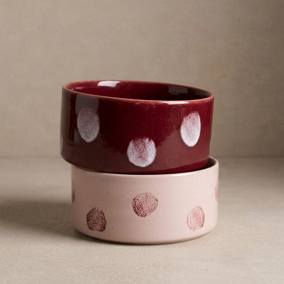 Gamelle en céramique pour chien à pois