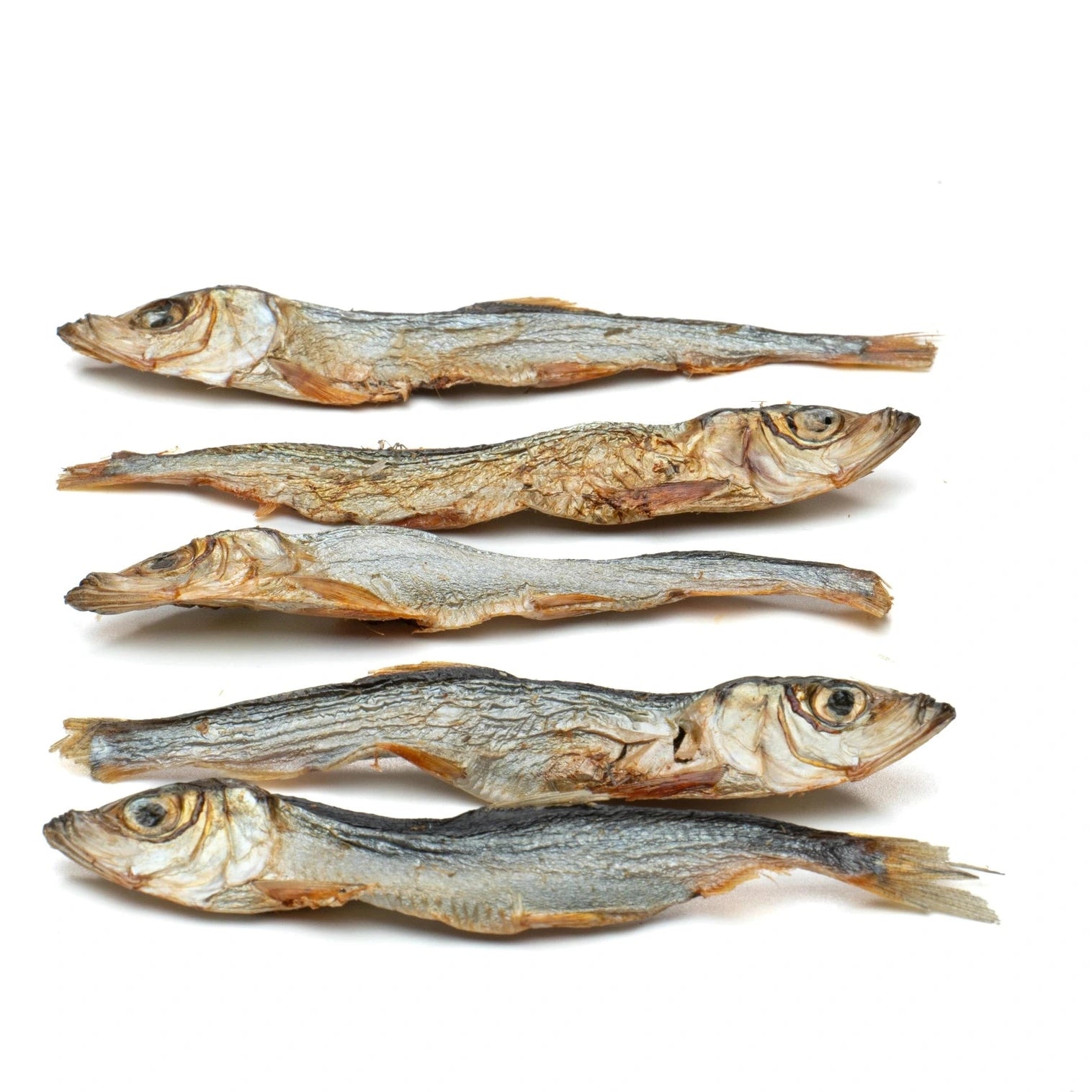 Harengs séchés pour chiens et chiots friandise naturelle