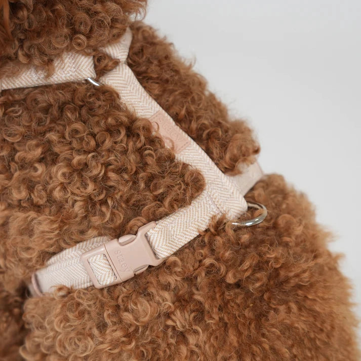 Harnais pour chien H Tara Rose