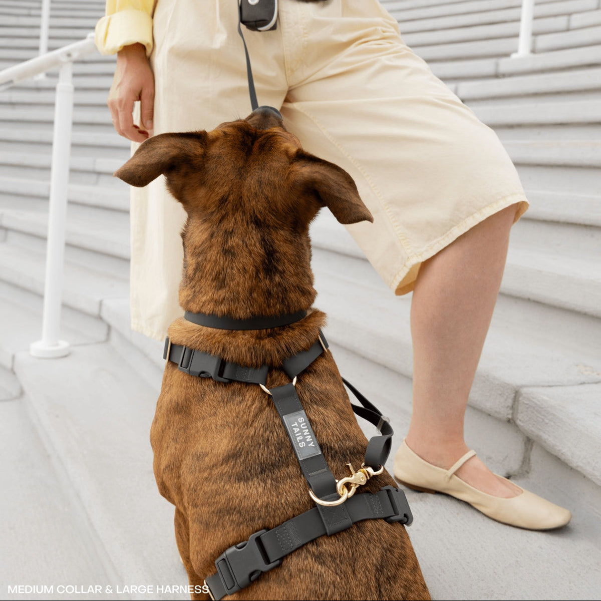 Harnais pour chien waterproof