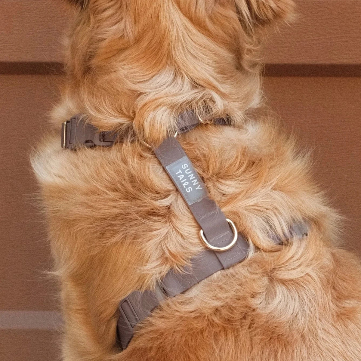 Harnais Waterproof Cloud Lite pour chiens